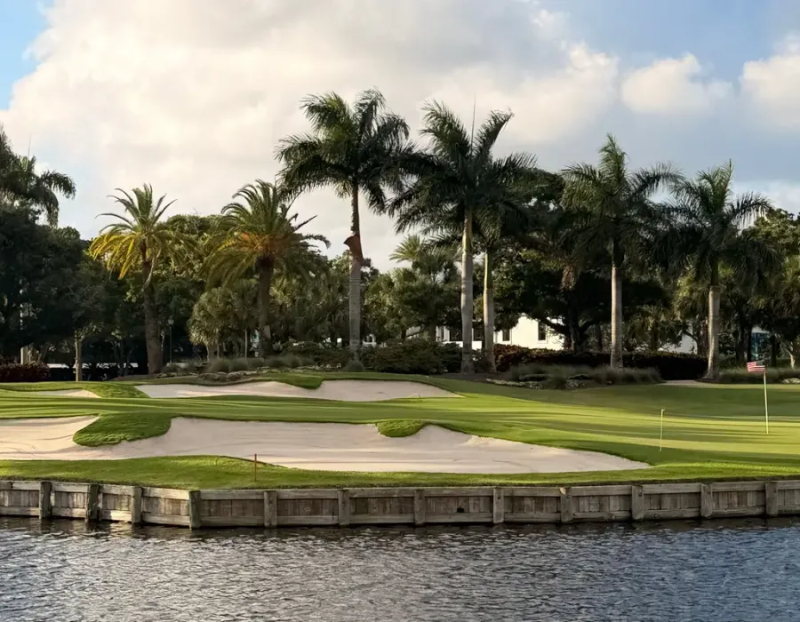 A golf green beside a lake, lined with palm trees, in a gated Florida community